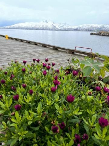 2. Etg I Dampskipsbrygga, Lodingen Havn エクステリア 写真